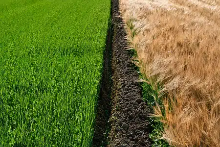 coluna de serviços 1 imagem 3